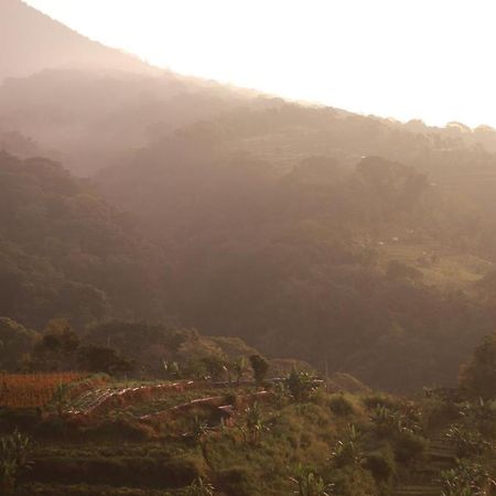 Pondok Kebun Gunung Bedugul  Eksteriør bilde